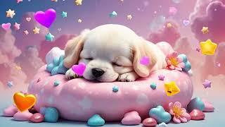 Deep Sleep Piano with Nature Ambience | Soothing Night Music & Relaxing Sounds