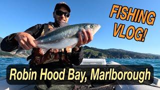 Port Underwood Fishing - Robin Hood Bay. SO MANY FISH! | VLOG UNCUT