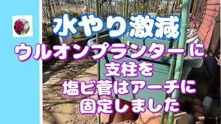 水やり激減のうるオンプランターに支柱を立て固定と、塩ビ管をアーチ上部に固定し、日当たりを良くしました。