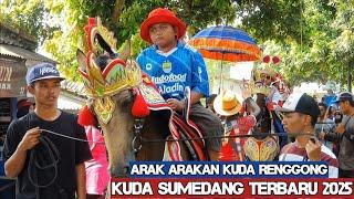 Kuda renggong bikin happy - Horse dance video