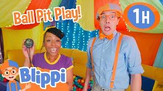 Blippi & Meekah's Great Ball Pit Play! | Animals for Kids | Educational Videos | Learn about Animals