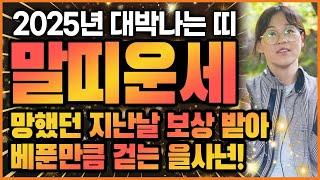 2025년 을사년 대박나는 말띠운세 고생끝 막혀있던것 뻥 뚫리며 지난날 아픔을 보상받는 위로의 한해를 맞이한다!