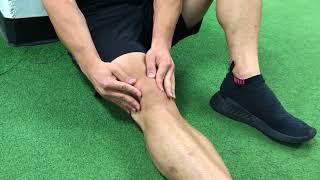 Knee Cap (Patella) Mobilization