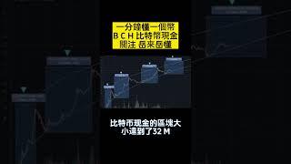 一分鐘懂一個幣 BCH 比特幣現金