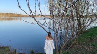 Моржевание, закаливание 8.04.2024. Evening swimming with swans