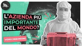 L'economia mondiale dipende da questa singola azienda?