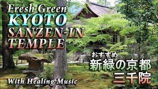 かわいいお地蔵さんを探しながら庭園を散策。京都大原三千院 / Fresh Green KYOTO, JAPAN. "SANZEN-IN TEMPLE" with Healing Music