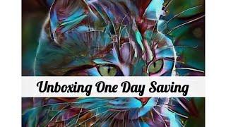 One Day Saving Unboxing Painting by Numbers Kit!