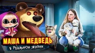 Masha and the Bear EXE в РЕАЛЬНОЙ ЖИЗНИ в нашем доме С КОТАМИ И СОБАКОЙ