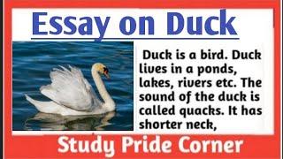 Essay on Duck | Essay on Duck  in English | Study Pride Corner