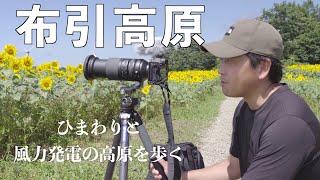 【風景写真 2022】布引高原・広大なひまわり畑を歩く｜布引高原 | Landscape photography Vlog