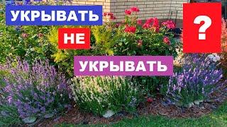 Укрывать не укрывать - вот в чём вопрос!