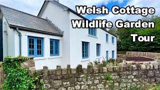 I Built A Wildlife Garden in Wales 󠁧󠁢󠁷󠁬󠁳󠁿