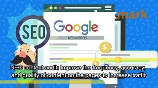 Types of SEO Audits