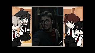 marauders react to Harry | PART 1️