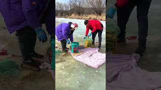 Best Unique Fish Trap Using PVC And Net Basket To Catch A Lot of Fish#shorts #viral #fishing