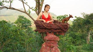 Make Bird's Nest For Abandoned Birds, Animals Care, Farm Life, Thị Hiền