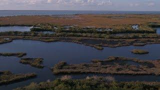 Canaveral National Seashore | Titusville, FL