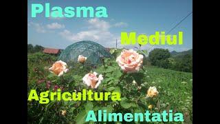 Poporul Ancestral - Pregatire Eveniment - PLASMA, MEDIU, AGRICULTURA, ALIMENTATIE - Partea a II-a