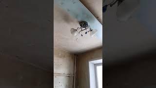 Ремонт, что было и что стало. Кухня  в следующем видео будет комната 