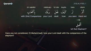 105 - Surah Al-Feel | Al Fil | Quran Word By Word English Translation