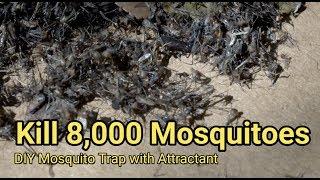 Mosquito trap DIY 8,000 mosquito kill reduce ZIKA DENGUE MALARIA MaxxAir Fan CO2