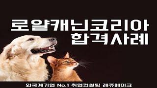 로얄캐닌 코리아 채용 면접질문과 최종합격 성공사례 Royal Canin