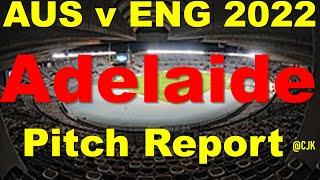 Adelaide pitch report | Adelaide Oval, Adelaide pitch report|AUS VS ENG 2022 Pitch Report