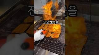 냉삼에 진심인곳을 찾았습니다#강릉맛집 #냉삼 #삼겹살 #고기 #맛집