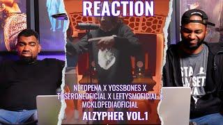 Alzypher Vol 1 | Reaction