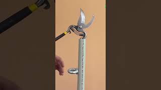 Tree pruner for high branches 