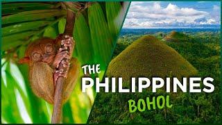 BOHOL, PHILIPPINES Best Nature!? This island HAS IT ALL: Beaches, CHOCOLATE Hills & Tarsiers