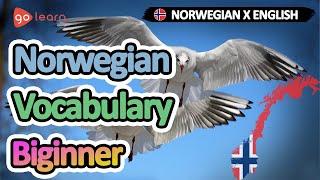 Learn Norwegian |Part 2: Norwegian Vocabulary Biginner | Golearn