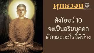 สังโยชน์ 10 จะเป็นอริยบุคคลต้องละอะไรได้บ้าง #คำสอนของพระพุทธเจ้า - พุทธวจน