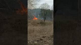 горит лес в КНВ