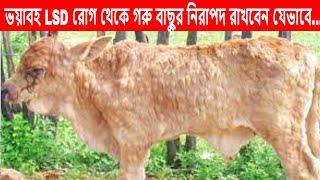 এই মৌসুমে কি করলে গরুর লাম্পি স্কিন রোগ হবে না | Dr. Mehedi Hasan | LSD | Agriculture News