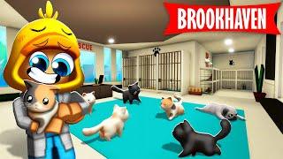 Nieuw GEHEIME DIERENWINKEL In Brookhaven! (Roblox)