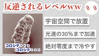 最強生物クマムシが人間にされた実験が過酷すぎるww