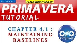 Primavera P6 Tutorial : Chapter - 4.1 :  Maintaining Baselines in Primavera P6 || dptutorials