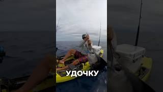 Как правильно выбрать удочку для рыбалки?