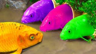 DIY - How To Build Cute crocodile Swimming Pool, Colorful fish | Satisfying Magnetic Rainbow Fish