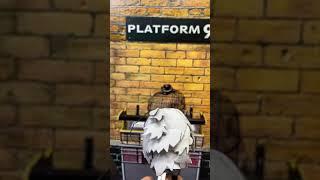 Archivist-pape visited platform 9 3/4