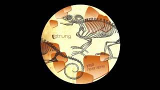 Yaya - Strange Meeting - Original mix - Etruria Beat 009 - LOW QUALITY 96kbps