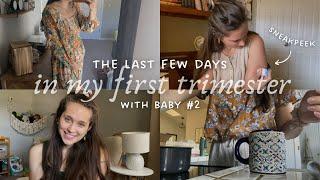 LAST DAYS IN MY FIRST TRIMESTER | PinkBlush Maternity Haul, Taking SneakPeek, & Announcing the News