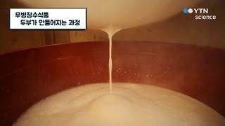 무병장수식품 두부가 만들어지는 과정 / YTN 사이언스