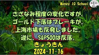 2024-11-16　きょうきんGT - Gold Today 日々の金価格を一望できるチャンネル！ (018 Tempo Koban)