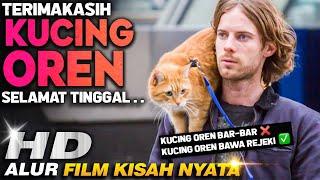 AWALNYA MAU DI BUANG, EH TERNYATA KUCING OREN INI BIKIN GELANDANGAN JADI KAYA • Film Sebelum Tidur