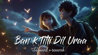 Ban k Titli dil ura || aesthetic vibe || slowed+reverb|| mind fresh lofi