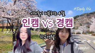 (V-log)경인교대 인캠러 vs 경캠러 ‍