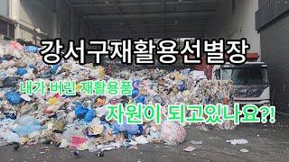 강서구재활용선별장의 하루